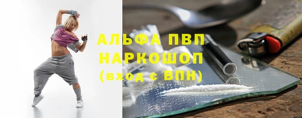кокс Белокуриха