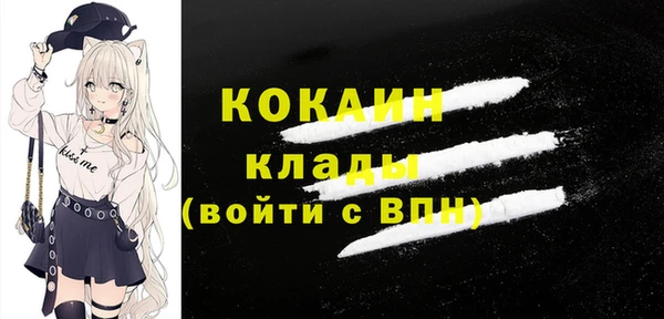 кокс Белокуриха