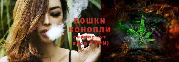 кокс Белокуриха