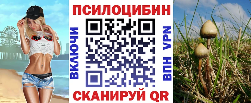 где купить наркотик Верещагино blacksprut как войти Галлюциногенные грибы MAGIC MUSHROOMS